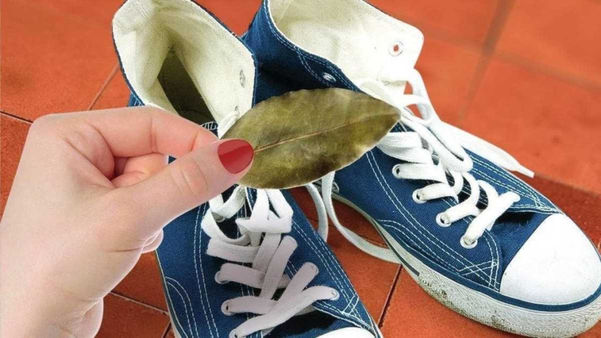 Why you need to put bay leaves in your shoes at night - Granny Tricks